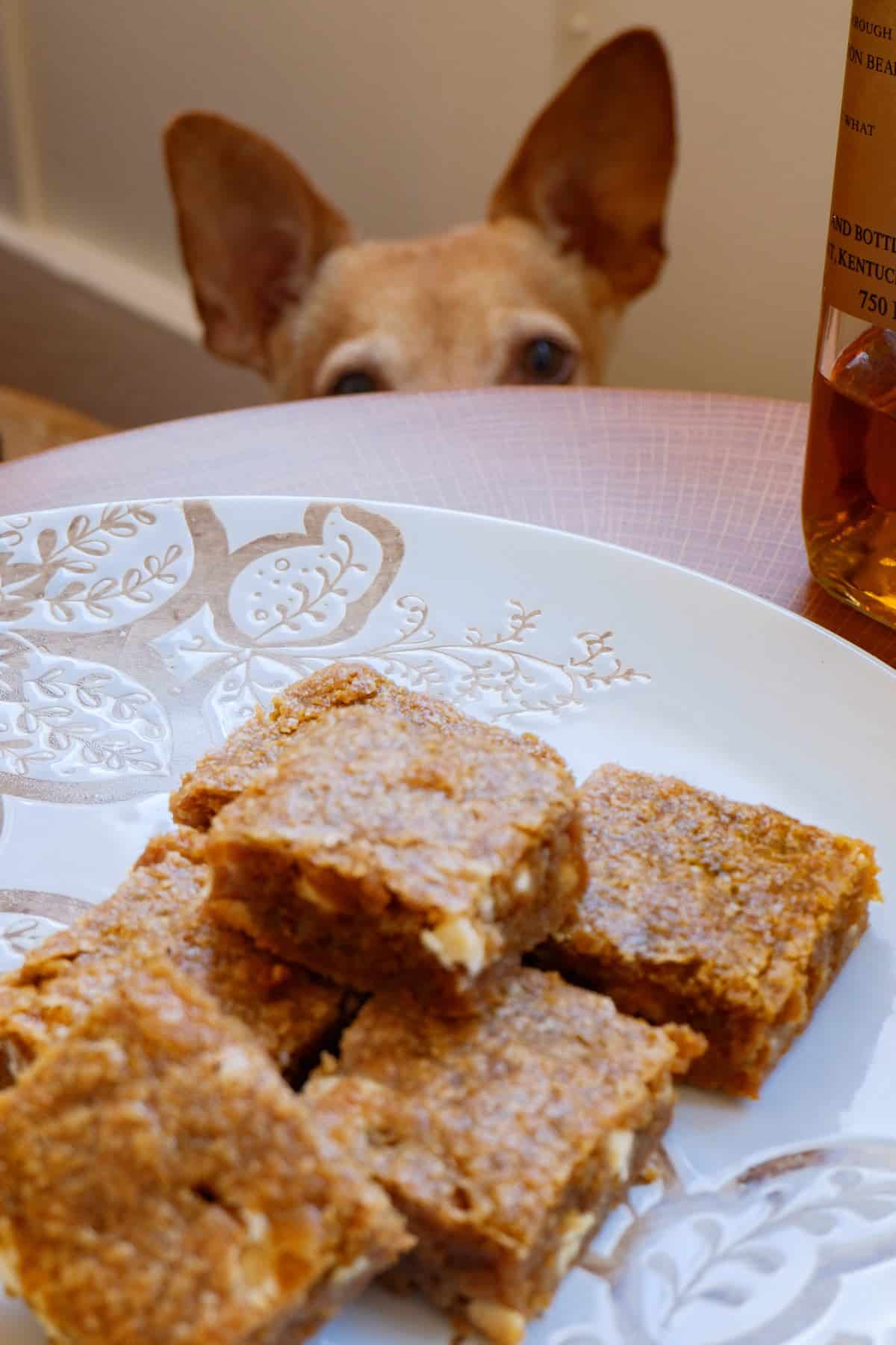 plate of bourbon white chocolate blondies with a little dog sticking up his head to check them out in the background